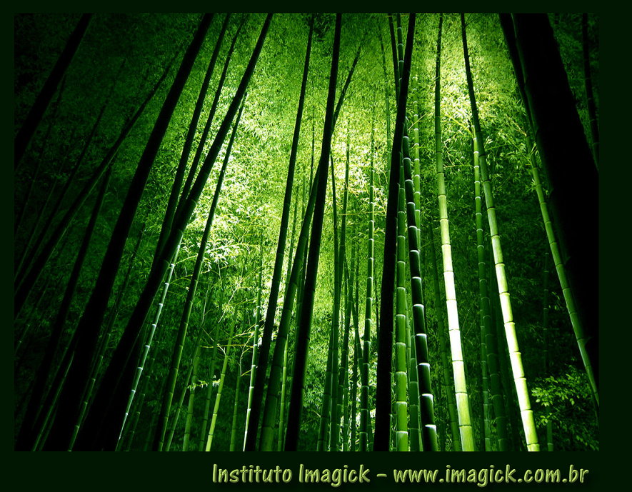 bambuu